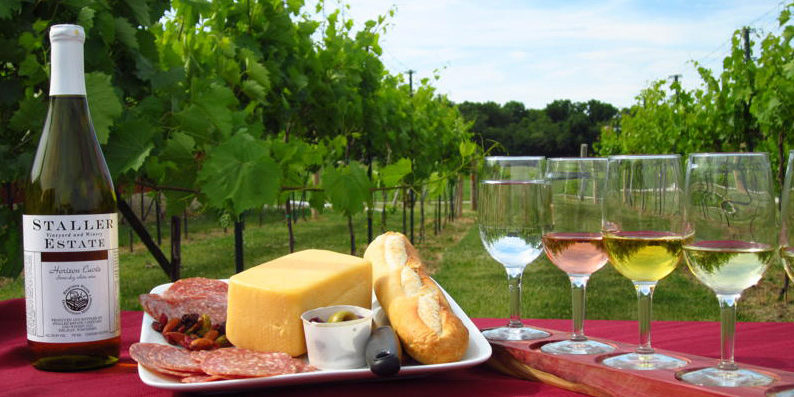 Wisconsin Vineyard Picnic