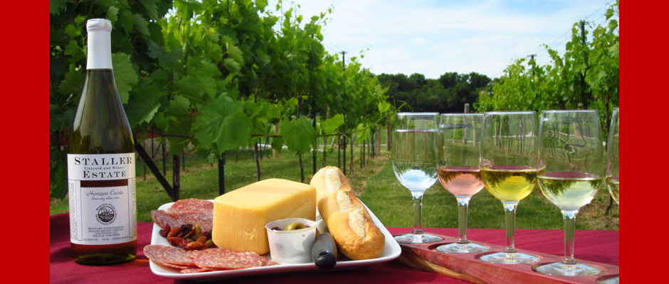 Vineyard Picnic