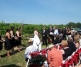 Weddings