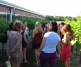 Vineyard and Winery Tours